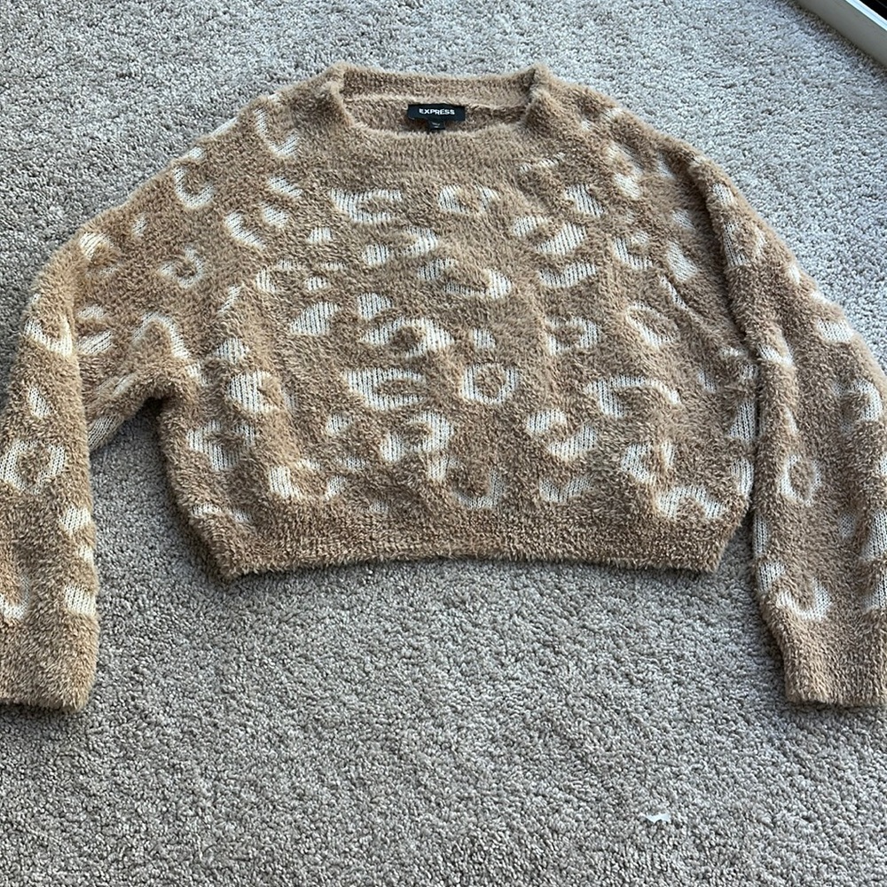 Express crop top cheetah sweater